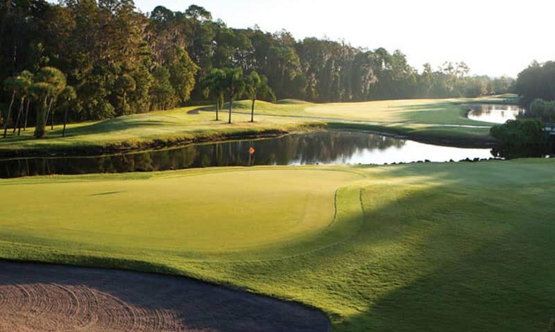 Disney's Palm Golf Course